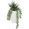 Atmosphera Dirbtinis augalas vazone, senecio, 25 cm