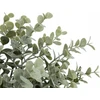 Atmosphera Dirbtinio eukalipto šakelė JAMES, 30 cm