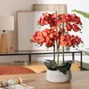 Atmosphera Dirbtinė gėlė vazone, orchidėja SANAE, 65 cm