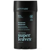 Attitude Super Leaves, Dezodorant w sztyfcie, dla mężczyzn - Eukaliptus i Szałwia, 75 g (ATT07424)