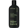 Attitude Vyrų stiprinamasis šampūnas ir kondicionierius 2in1 Super Leaves Matcha &amp; Bergamot (šampūnas ir kondicionierius) 415 ml