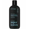 Attitude Vyriškas raminamasis šampūnas ir kondicionierius 2in1 Super Leaves eukaliptas ir šalavijas (šampūnas ir kondicionierius) 415 ml