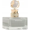 Aurora Scents Aurora Globe Collection Moon Dust EDP kvepalai vyrams, 100 ml