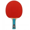 Aurora AURORA SG6225-2 stalo teniso komplektas **