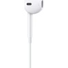Ausinės Apple
