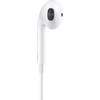 Ausinės Apple