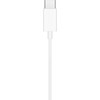 Ausinės Apple