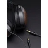 Ausinės FiiO FT1