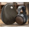 Ausinės FiiO FT1