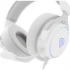 Ausinės Genesis Neon 764 RGB balta