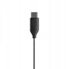 Ausinės Skullcandy JIB USB-C juoda