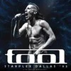 Vinilinė plokštelė Gramofonas Ava TOOL Starplex Dallas 93 - Płyta winylowa
