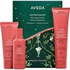 Aveda Nutriplenish rinkinys plaukų šampūnas 100ml + plaukų kondicionierius 100ml + nenuplaunamas kondicionierius 150ml