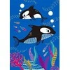 Avenir – Under the Sea A5 Scratch Book – (58CH221828)
