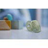 Philips AVENT SCF091/07 Čiulptukas Ultra Soft 0-6m papūga/lapai