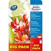 Papier Avery fotograficzny Premium wysokobłyszczący 250g, 50 ark, 210 x 297 mm