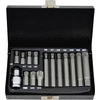 AW-Tools AWTools AWTOOLS SPLINE TIPS 15 vnt. BL AW35119BL