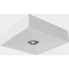 AWEX avarinis šviestuvas LOVATO N ECO* LED 1W 125lm (opcija universalus) 1h vienos funkcijos baltas LVNU/1W/E/1/SE/AT/WH