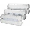 AWEX HELIOS IP65 ECO LED 3,2W 320lm 1h vienpaskirtis PT HWM / 3,2W / ESE / PT / TR - HWM / 3,2W / ESE / PT / TR