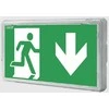 Awex EXIT S LED IP65 1W 1h dvigubos paskirties PT baltas šviestuvas