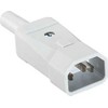 Bachmann BACHMANN šalto prietaiso kištukas C14 tipas 749 70C