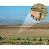 Teleskopas - K&amp;F Concept KF33.076 12x50 BaK4 IP68