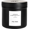 Aromatinė žvakė Urban Apothecary Fig Tree, 175 g