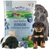 BALTICA Smaki regionów Junior ėriena with veal – sausas Maistas šunims – 1kg