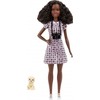 Barbie lėlė Mattel KarjerA - Naminių gyvūnėlių fotografas (HCN10)