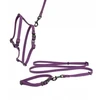 Barry King Patvarios guminės šunų petnešos, violetinės, 16 mm / 30–60 cm