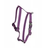 Barry King Patvarios guminės šunų petnešos, violetinės, 16 mm / 30–60 cm
