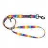 Barry King Reguliuojamas juostinis šunų pavadėlis „Rainbow“, 20 mm / 220 cm