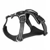 Barry King Juodos tinklinės šunų petnešos S, kaklo apimtis 34-42 cm / krūtinės apimtis 41-52 cm