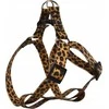 Barry King Neperšlampami šunų diržai, PVC, leopardo raštas, 2,5x50-70cm