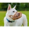 Snukis Company of Animals Ruda 2