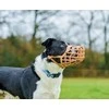 Snukis Company of Animals Ruda 2