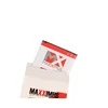 Dėklas BAT. MAXXIMUS SAM E250 1000 LION