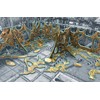 Battle Systems Ltd BattleSystems: Alien Infestation