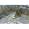 Battle Systems Ltd BattleSystems: Alien Infestation
