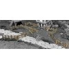 Battle Systems Ltd BattleSystems: medinės tvoros