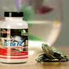 Beaphar Femanga, Turtle Fit, vitaminų ir mineralų papildas vėžliams, 400g