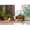 Beeztees CAT TOY JUNGLE GIGI 29