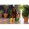 Beeztees DOG TOY JUNGLE ANIMALS