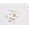 Beliani Rinkinys 2 dekoratyvinės pagalvės GOLDENROD Velvet 45 x 45 cm Baltas Plant Pattern