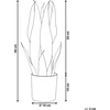 Beliani Dirbtinis augalas SNAKE PLANT 40 cm Žalias