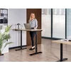 Beliani Elektriškai reguliuojamas stalas DESTINAS juodas / šviesiai rudas 120 cm x 72 cm
