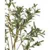 Beliani Dirbtinis augalas OLIVE TREE 153 cm žalias