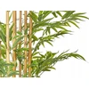 Beliani Dirbtinis augalas BAMBOO 220 cm žalias