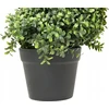 Beliani Dirbtinis augalas BUXUS SPIRAL TREE 98 cm žalias