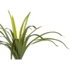 Beliani Dirbtinis augalas DRACAENA ANITA 147 cm žalias